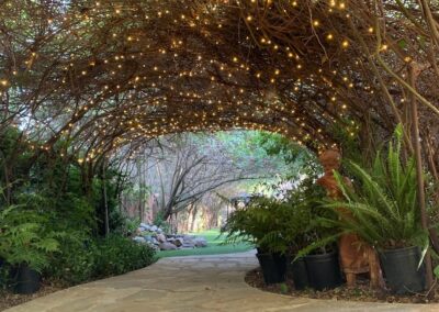 Wedding-Officiant wedding renewal